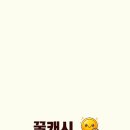 캐시플라이