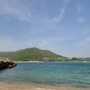 은빛아라 이미지