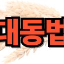 대동법 뜻과 시행 기념비, 광해군 시행과 공인의 역할