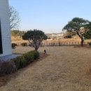 호두나무집 이미지