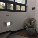 인제로262 이미지