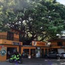 하르딘(Jardin) 이미지