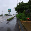 위미카센타 이미지