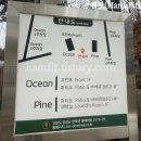 지오 파인트리 이미지