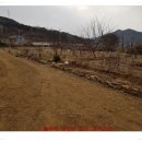 힘찬농장 이미지