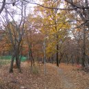 효민공 이경직 묘역 이미지