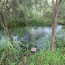 강동-길동-2770 이미지