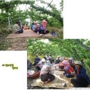 청송농장 이미지