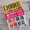 비비핏
