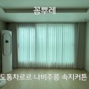 대경파미르 이미지