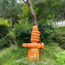 숲해설체험 | 가평 강씨봉자연휴양림 숲해설 우드버닝 체험