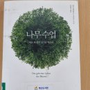 기다리는 나무 이미지