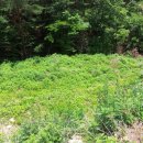 송도로공인중개사사무소 이미지