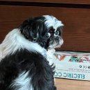 함열초등학교 | 지극히 평범한 주부의 주간일기
