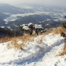 [제196차 정기산행] 오서산(烏棲山) 좌석 안내 이미지