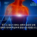 체온 상승 면역력 높여준다 액티 / 관절(연골재생) 겔링핏 이미지