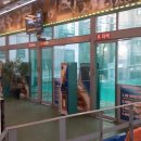 야구연습장 이미지