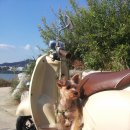 몽키모터스 이미지