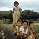 수원-1953 이미지