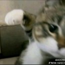 (주)우진푸드 | 10-4 일상 | 가을이 왔다, 모닝 러닝, 뉴가방