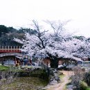 홍교 주차장 이미지