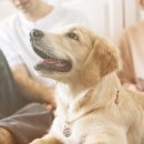 안산동물약국 이미지