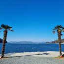 수출대로3길R2-12 | 거제오토마리나 캠핑장 솔직 후기 : 모든 사이트 뷰, 시설 리뷰 / 닭소리 후기