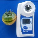 최운기 | 강소농SNS체험단 후기&gt; 문토마토 농장의 &#39;대저 짭짤이토마토&#39;를 소개합니다.