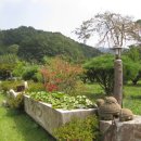 승민농장 이미지