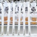 [초1~6(17~12년생)][원데이클래스]나만의 유리컵디자인 | 성수 가볼만한곳 추천 성수향수공방 닷노트 향수 원데이클래스 후기 성수공방