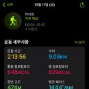 베이비송 이미지