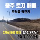양지바른공인중개사사무소 네이버블로그