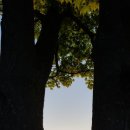 수궁펜션 이미지