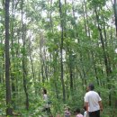 무지개약수터 이미지