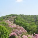 축령산~서리산 철쭉보러 갑니다 이미지