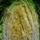 창희네 농장 이미지