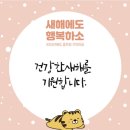 (주)아리스 이미지