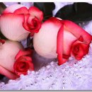 추억의7080 이미지