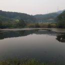 동항소류지 이미지