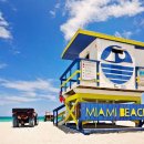 마이애미 이미지