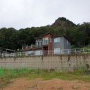 삼백로 이미지