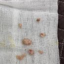 24시폴동물병원 이미지