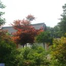 이시백 묘 이미지