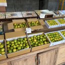 남원읍-73 이미지