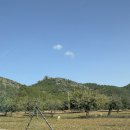 운전교차로목장 이미지