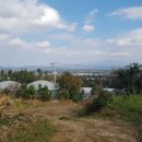 민성이네 농장 이미지