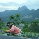 진안읍 1367 이미지