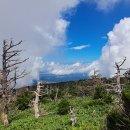 관음사입구 이미지