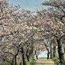 운산목장 네이버블로그