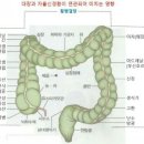 마켓인사이드 이미지